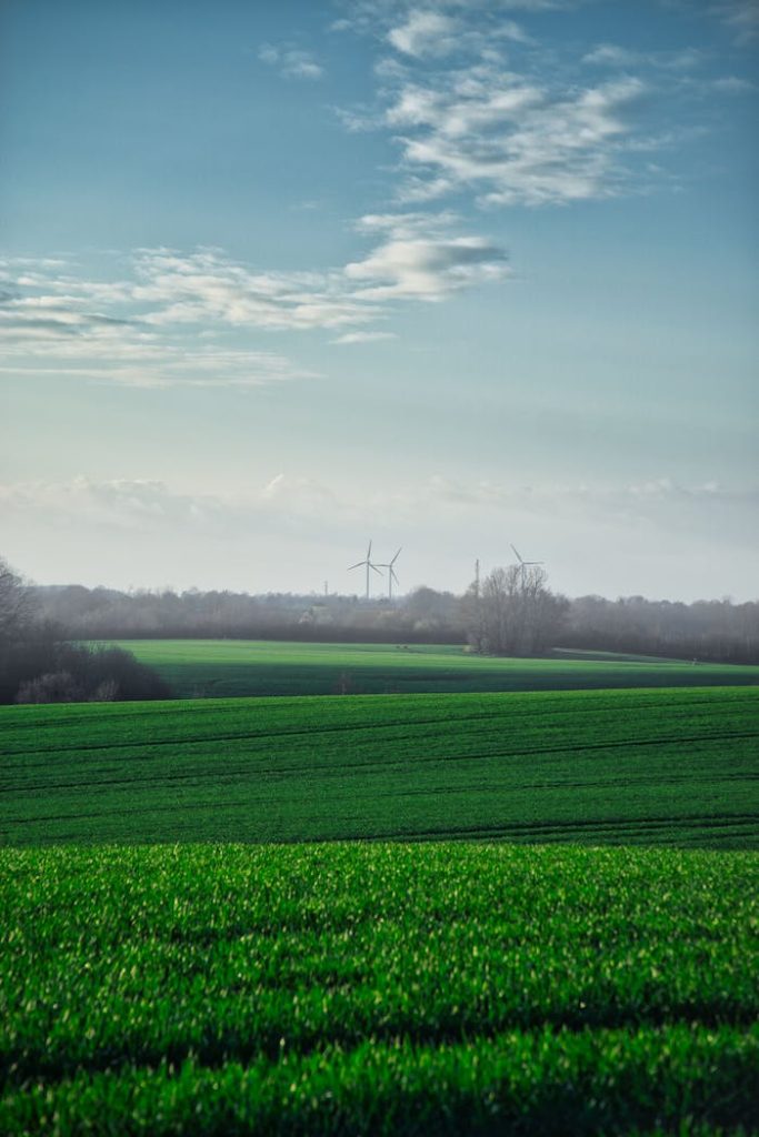 Vibrant green fields with wind turbines under a blue sky in Kiel, Germany.